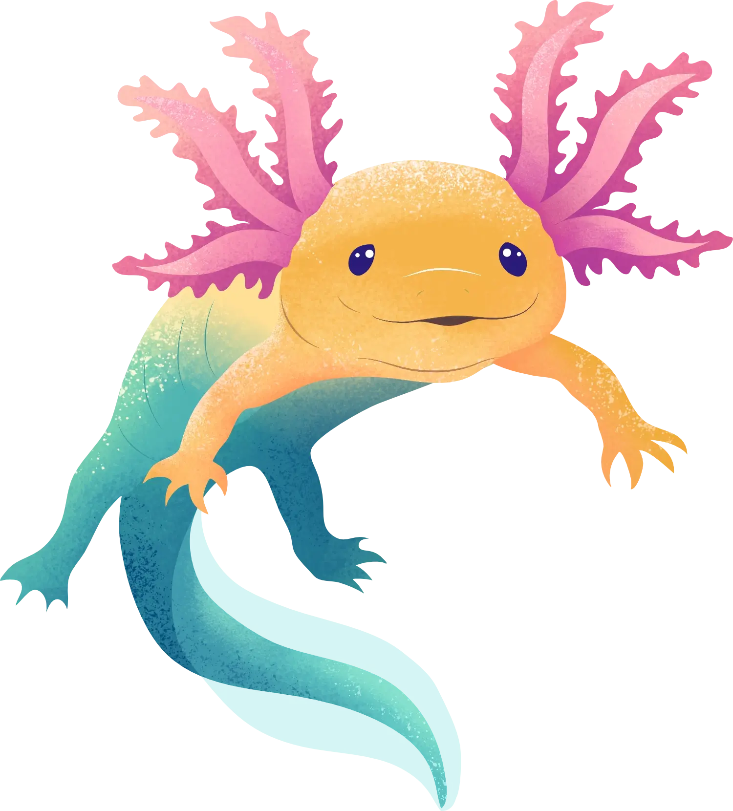 axolotl_v1_LITEN